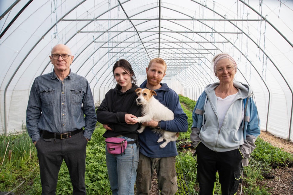 Produsenter i drivhus